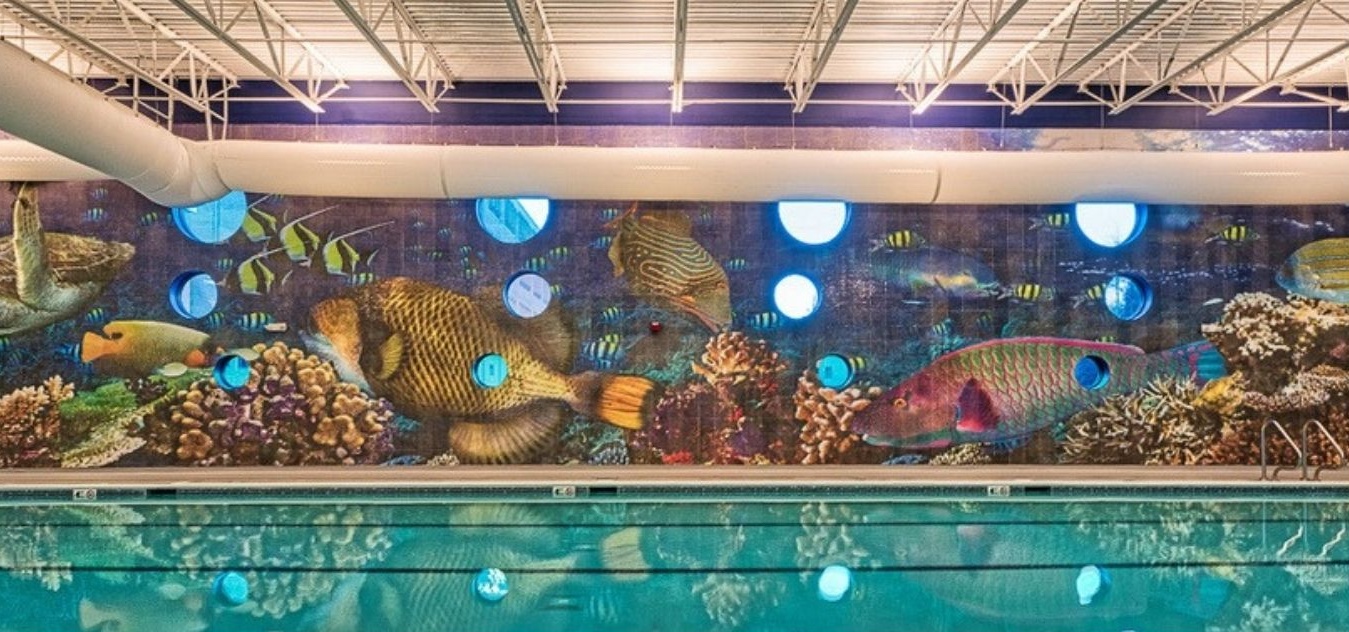 SwimQuest